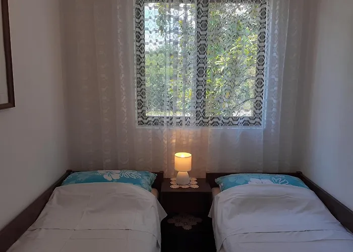 Pet Friendly Simunec